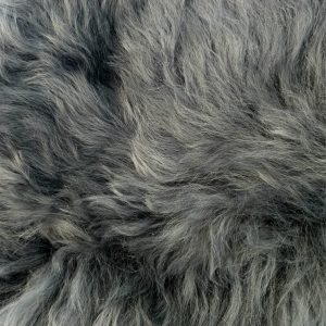 Himalayan Kaross Grey