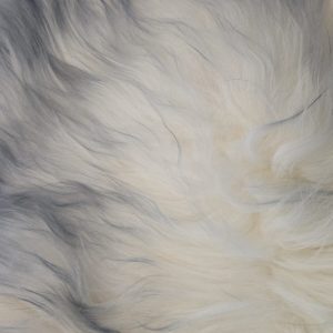 Himalayan Kaross Grey Mist Tip