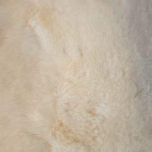 New Zealand Kaross Yellow Medical