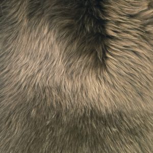 New Zealand Kaross Brown