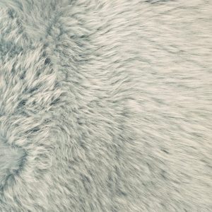 New Zealand Kaross Duck Egg