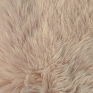 New Zealand Kaross Rose